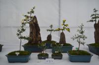 행사 관련 사진 11