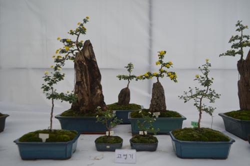 행사 관련 사진 11