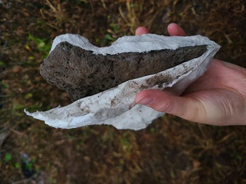 행사 관련 사진 8