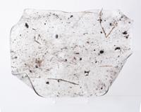 행사 관련 사진 8