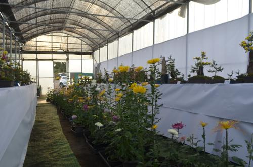 행사 관련 사진 19