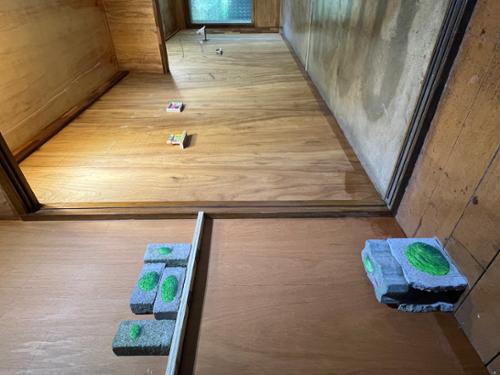 행사 관련 사진 3