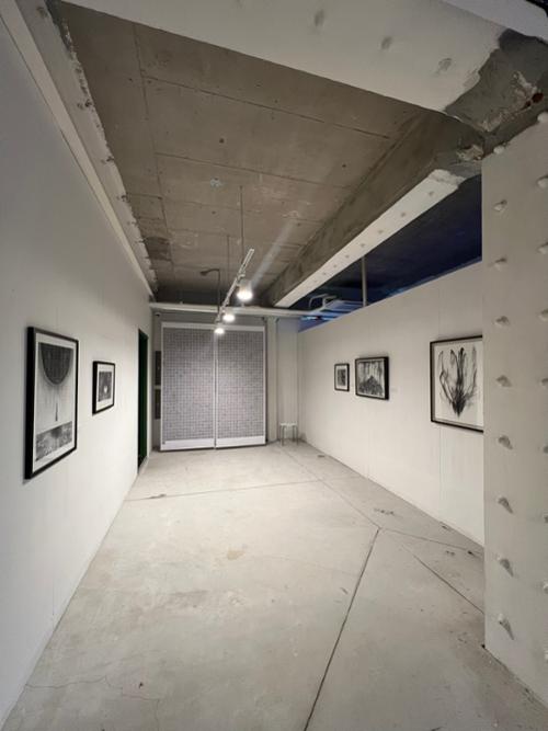 행사 관련 사진 2