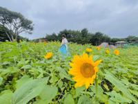 행사 관련 사진 8