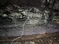 행사 관련 사진 3