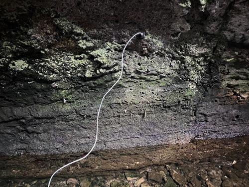 행사 관련 사진 3