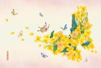 행사 관련 사진 3