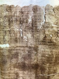 행사 관련 사진 4