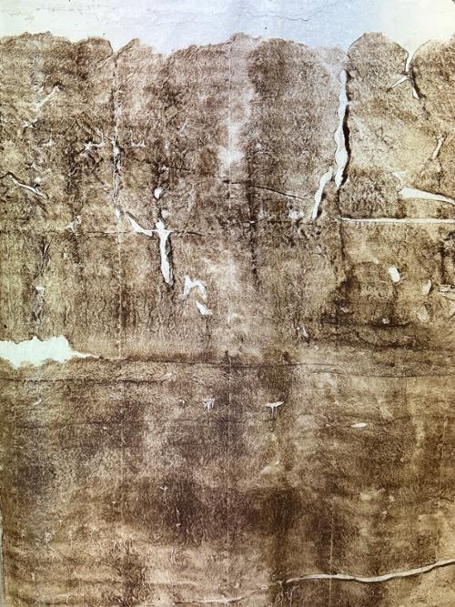 행사 관련 사진 4