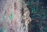 행사 관련 사진 5