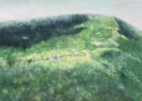 행사 관련 사진 1