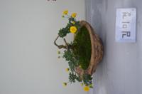 행사 관련 사진 13