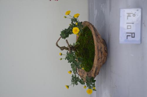 행사 관련 사진 13