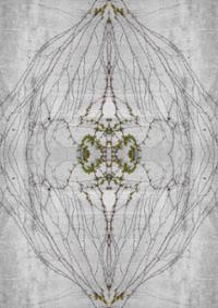 행사 관련 사진 2