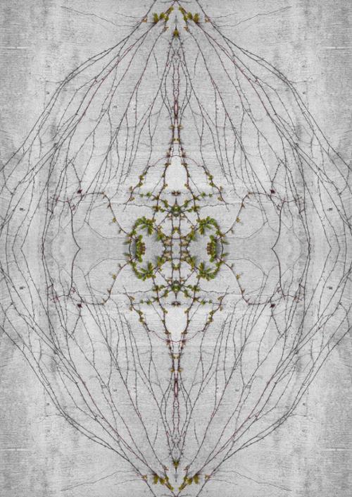 행사 관련 사진 2