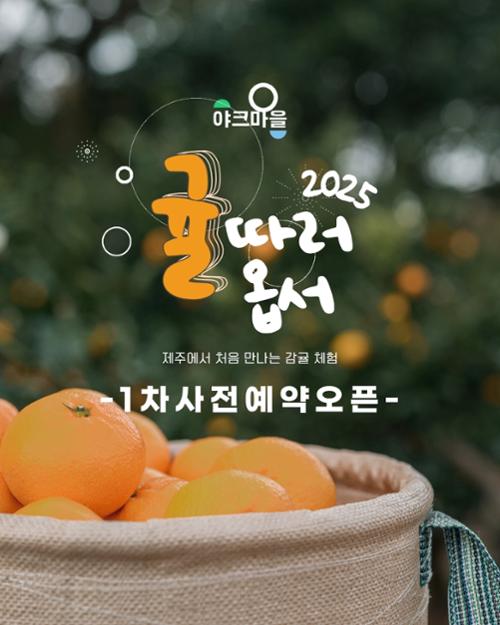 행사 관련 사진 1