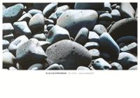 행사 관련 사진 7