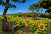 행사 관련 사진 20