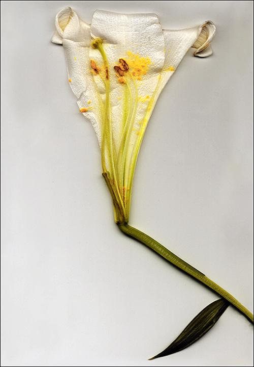 행사 관련 사진 1