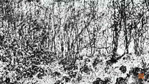 행사 관련 사진 1