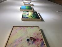 행사 관련 사진 3