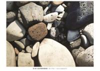 행사 관련 사진 8