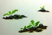 행사 관련 사진 1