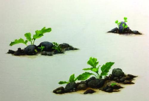 행사 관련 사진 1