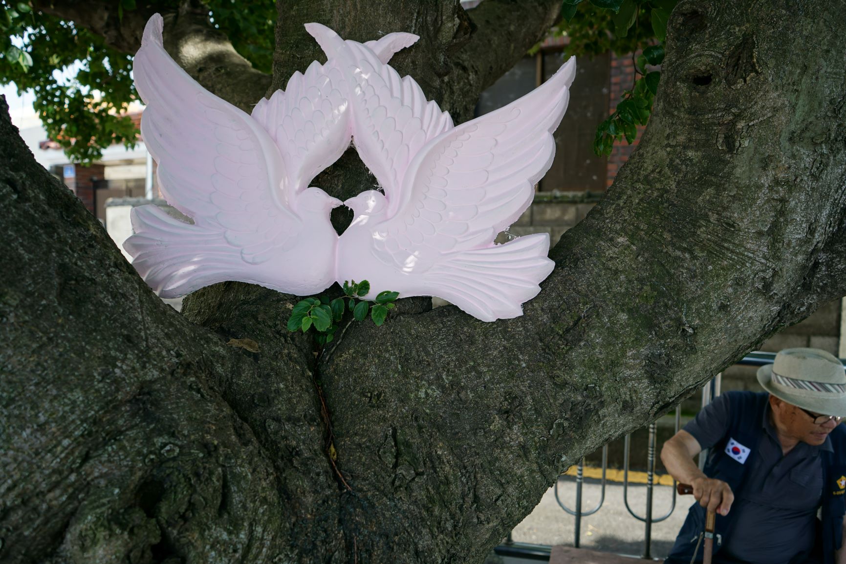 쩐 민 득 개인전 <분홍꽃이 피다, 여기저기 어디서나 모든 지나간 그리고 다가올 봄에>
