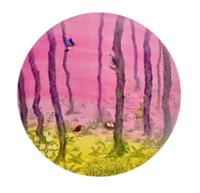 행사 관련 사진 2