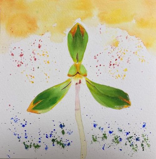 행사 관련 사진 2