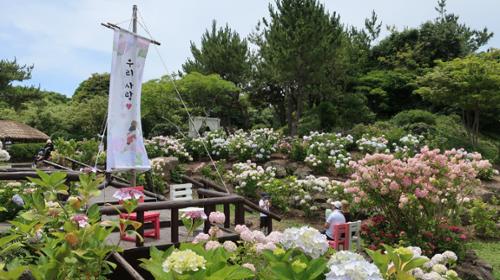 행사 관련 사진 2