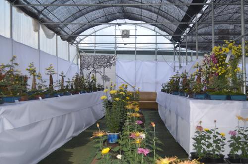 행사 관련 사진 18