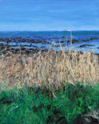 행사 관련 사진 5