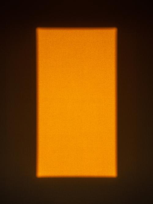 행사 관련 사진 3