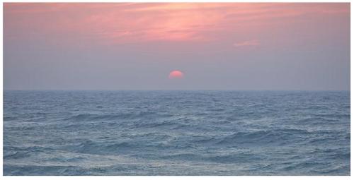 행사 관련 사진 1