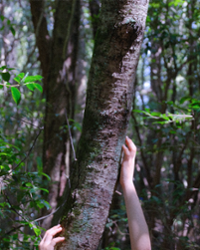 행사 관련 사진 2