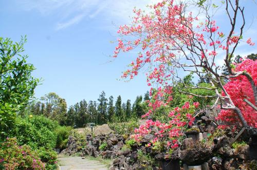 문화시설 관련 사진 3