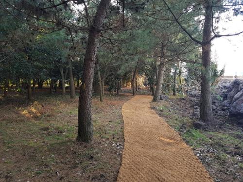 문화시설 관련 사진 8