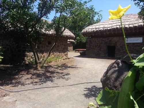 문화시설 관련 사진 2