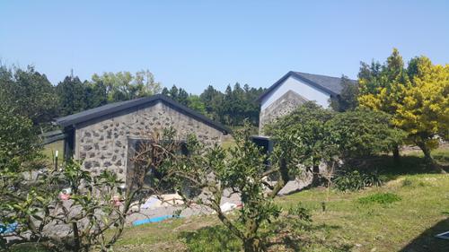 갤러리2 중선농원