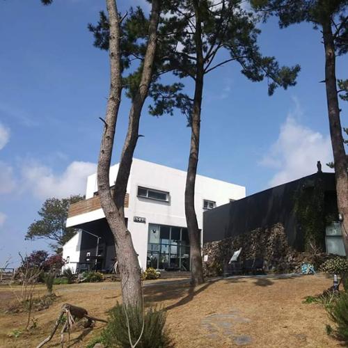 파파사이트(PAPASITE)