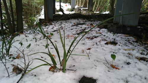 문화시설 관련 사진 2