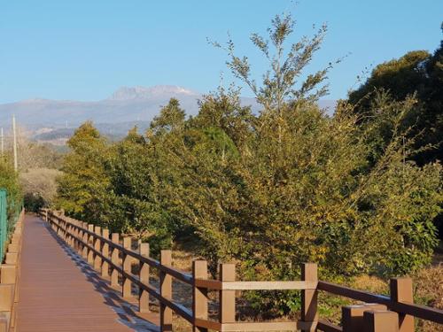 문화시설 관련 사진 9