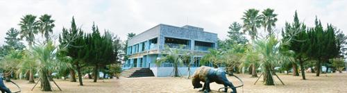 제주커피박물관바움