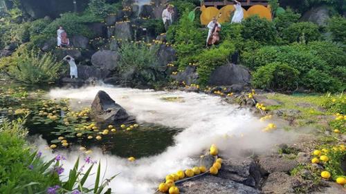 단체 관련 사진 8