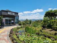 단체 관련 사진 2