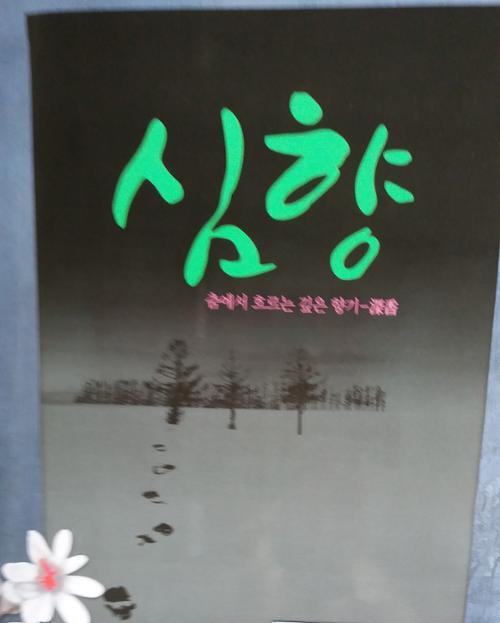 댄스인제주무용단