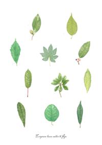 제주 보태니컬 아뜰리에