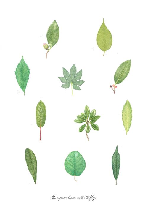 제주 보태니컬 아뜰리에